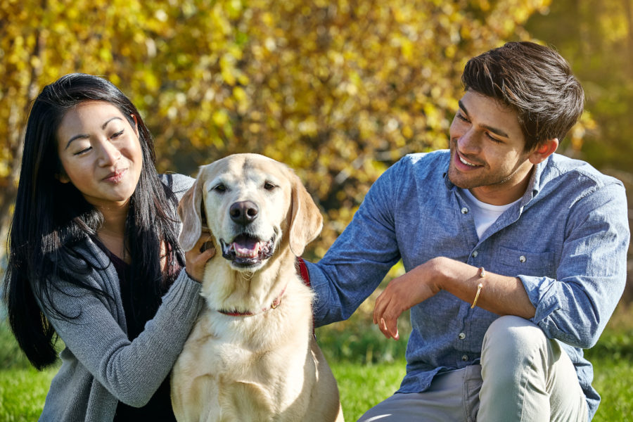 Our Veterinarians in Markham are accepting new patients